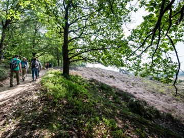 Wandeltraining