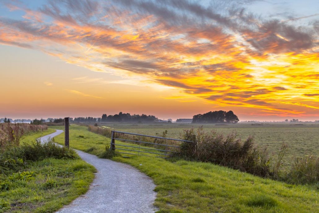 SNP Fietsen in Nederland