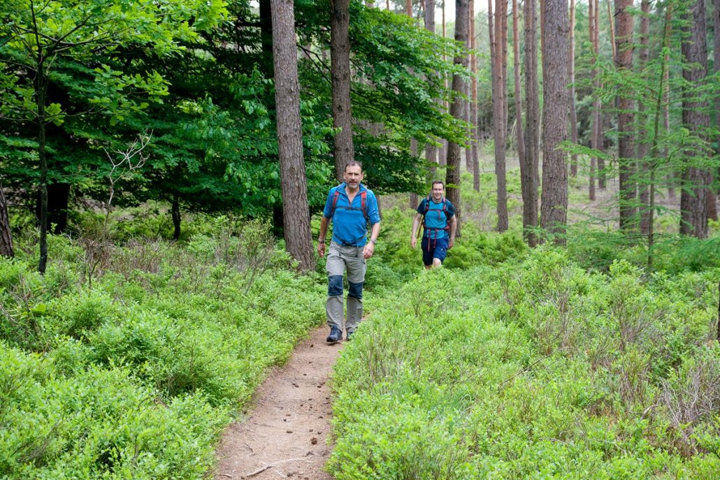 SNP Wandelen in Nederland
